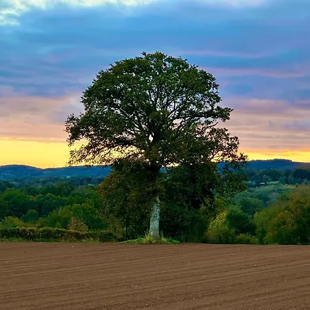 D'artisan Tatil Evi Pionsat