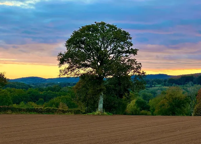 D'artisan Дом отдыха Pionsat